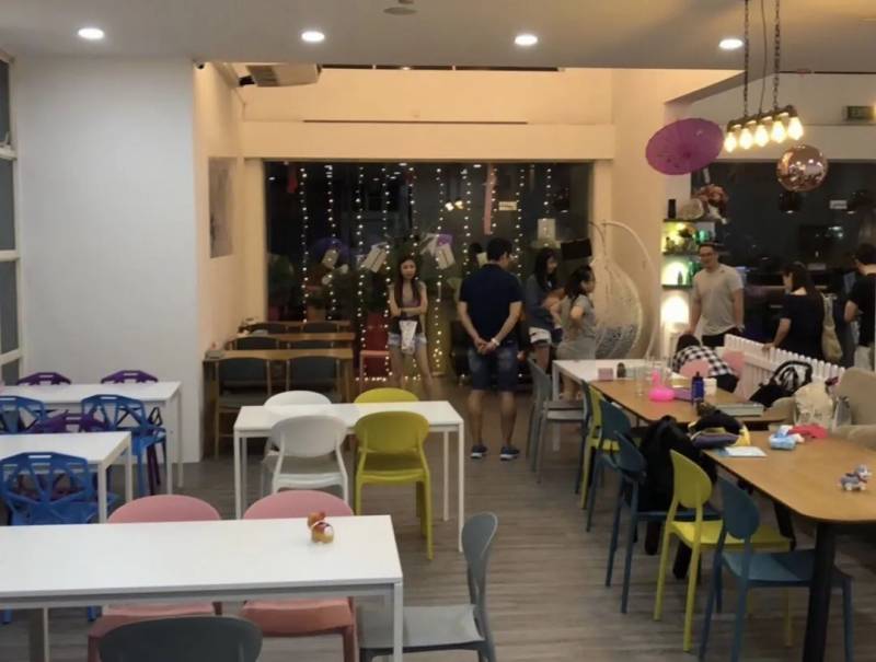 新加坡狗咖合集，快來被治愈吧