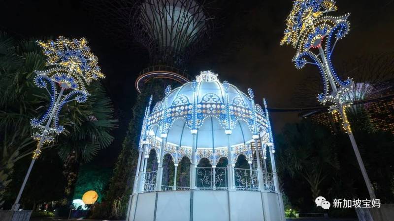 年末就是要狂歡！2020年最後一個月，還能帶娃在新加坡做點啥
