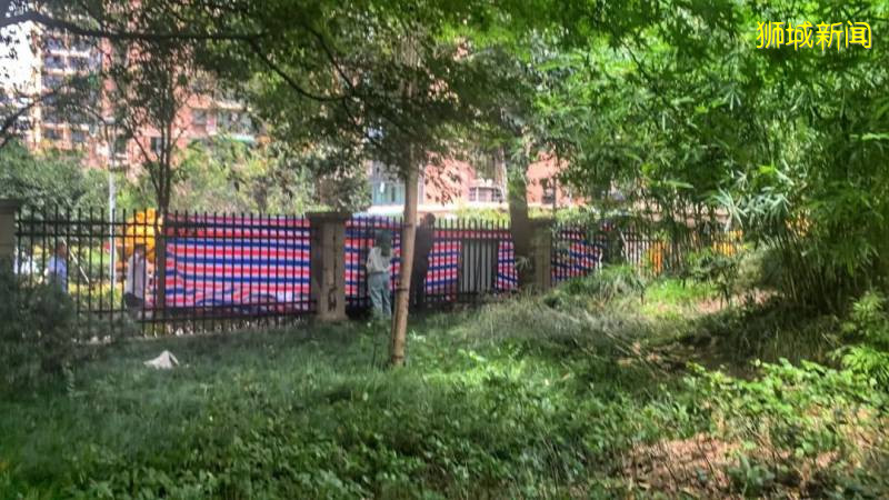 杭州女子半夜離奇失蹤案真相大白!和新加坡30年前這起驚人相似