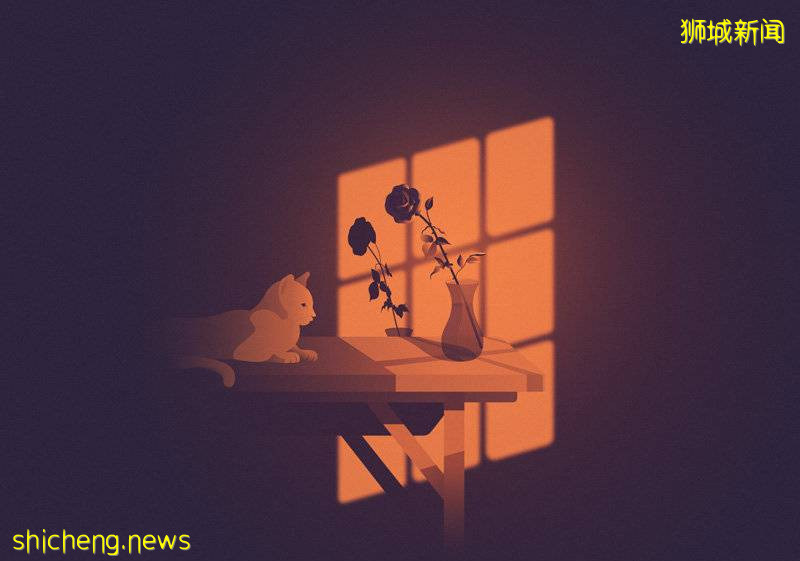 新加坡義工的啓示!