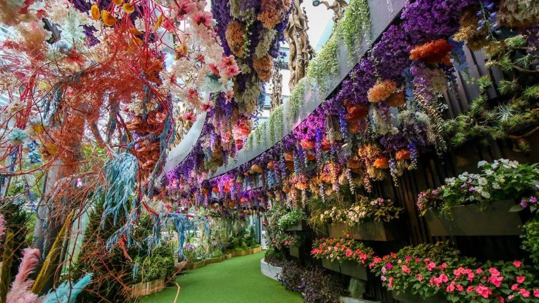 【每周折扣】炸雞，點心，郵輪，賞花...快來看看吧