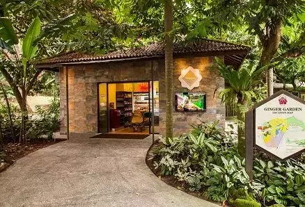 免費！新加坡排名第一的“家庭遊樂場”，竟然有這麽多項目我還沒玩過