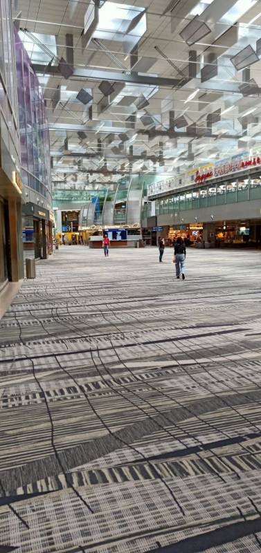 实拍!樟宜机场变样了~ 新航半年净亏损34亿新币