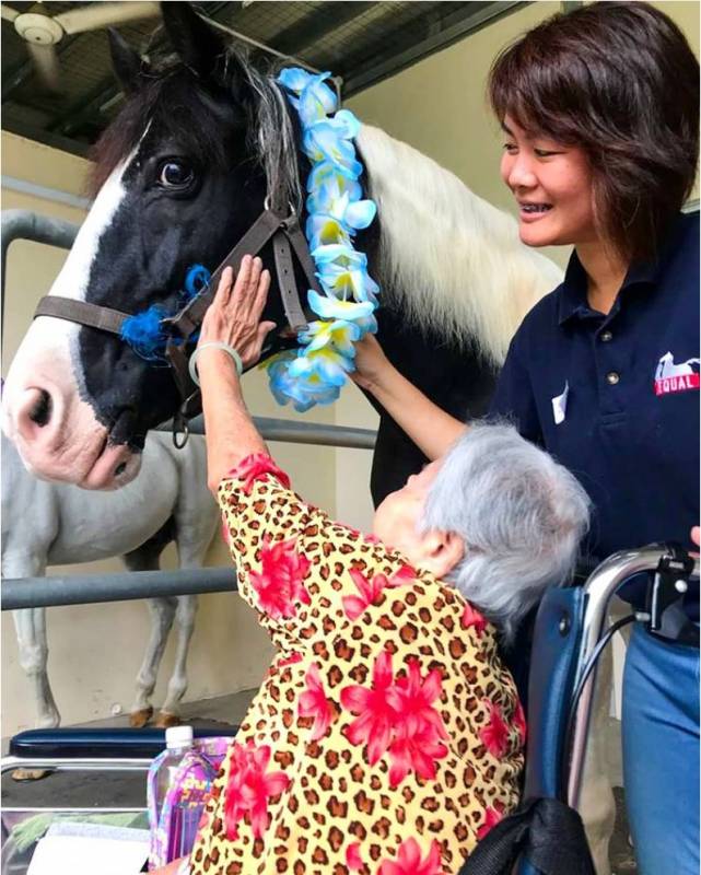 超罕见迷你矮脚马闪现ION!软萌可爱助力公益活动,赶紧来与小马合影打卡吧