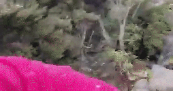 活久見! 新加坡鄰國下起了鵝毛大雪,29年頭一次