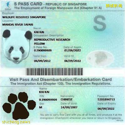 超超超超超甜,这也太好磕了吧