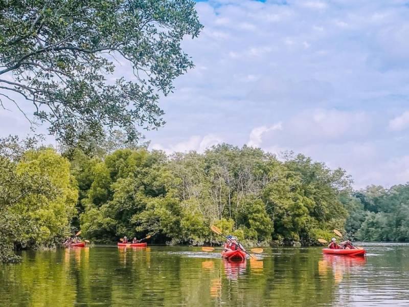 新加坡探險活動🔎 徒步冒險、荒廢秘境、陡峭山路!開啓刺激的戶外運動+探險模式