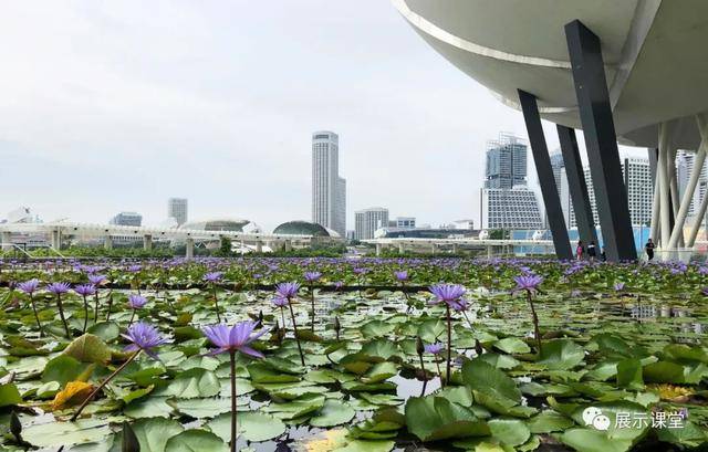 新加坡最美城市展览馆打卡