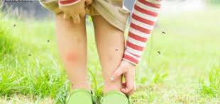 1700新币招聘“赶鸟人”,你敢去求职吗