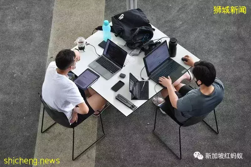 壓力山大，需要作業寬限期　是什麽把獅城大學生逼得太緊