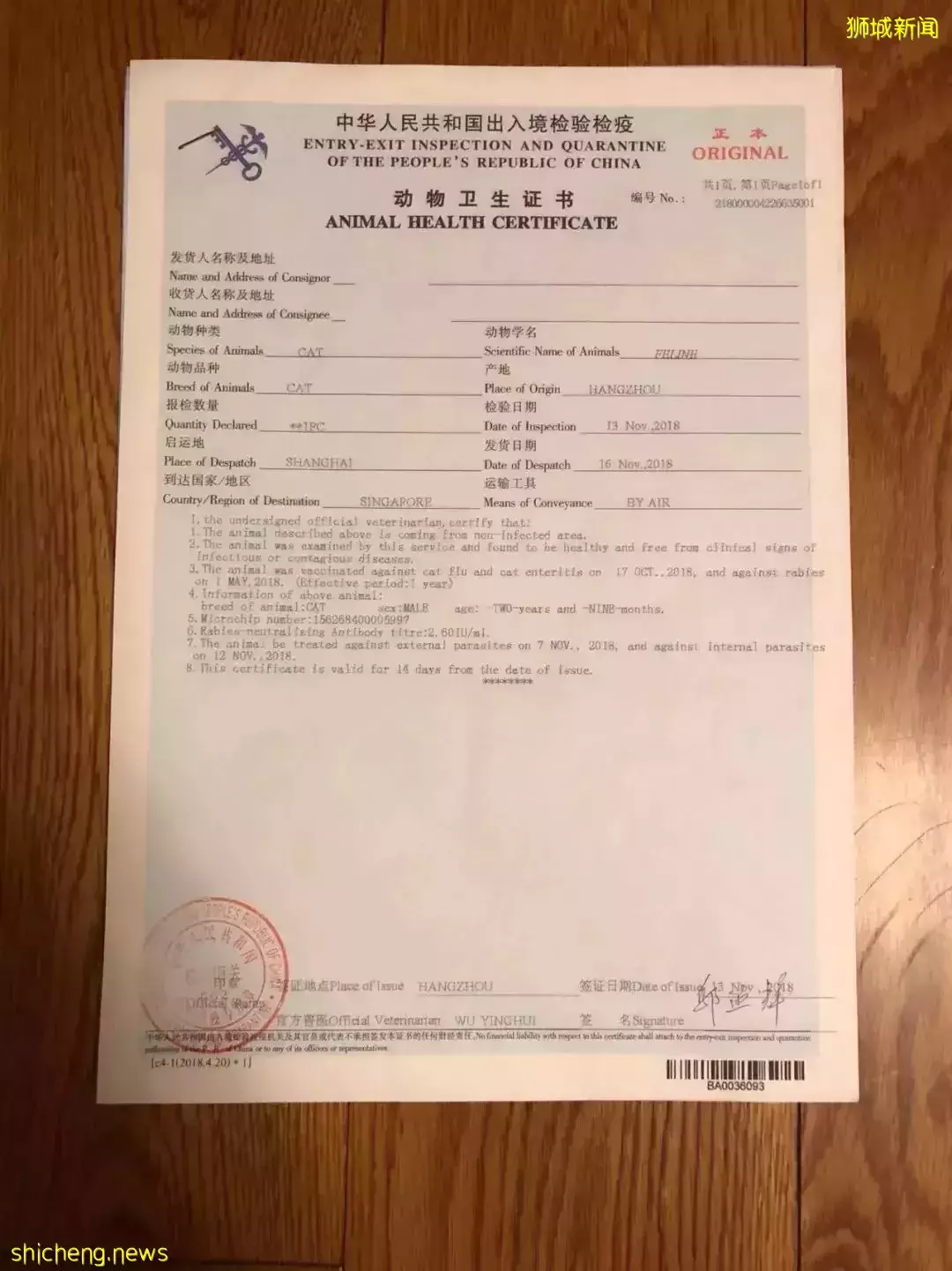 耗时6个月,隔离30天,我的宝贝终于来新加坡跟我团聚了