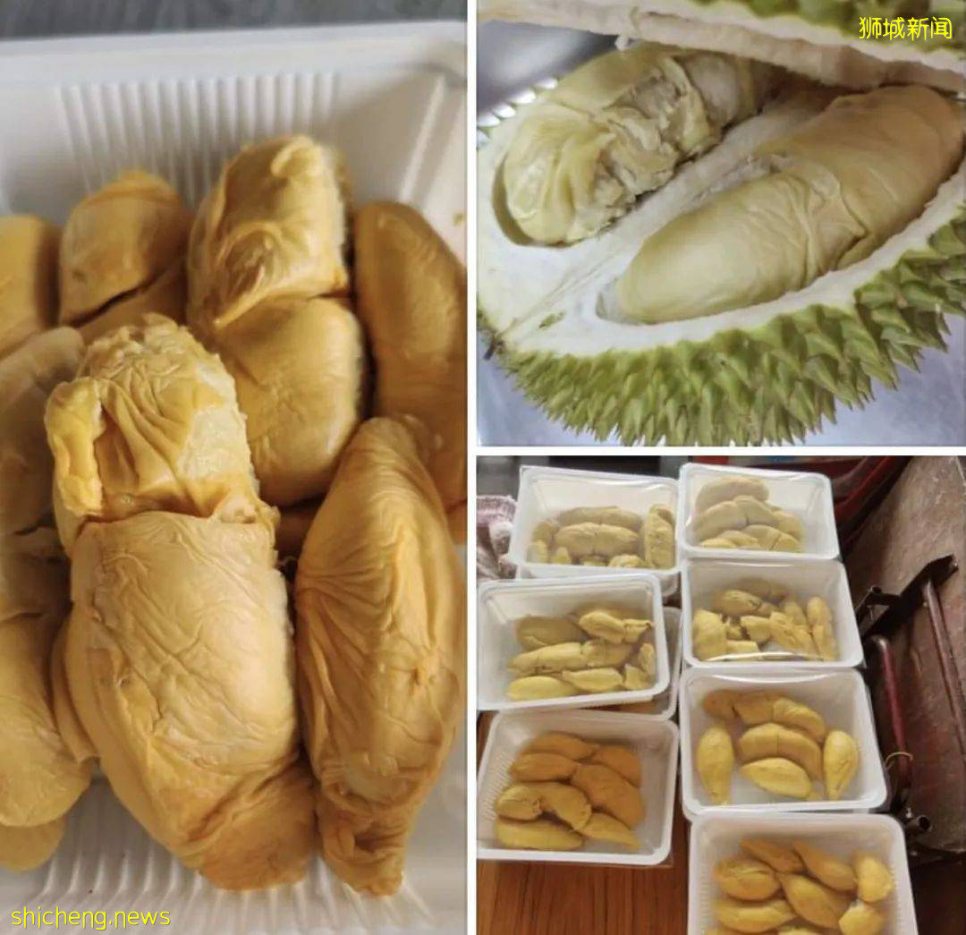 吐血整理！新加坡這20家榴梿太香了！S$11起