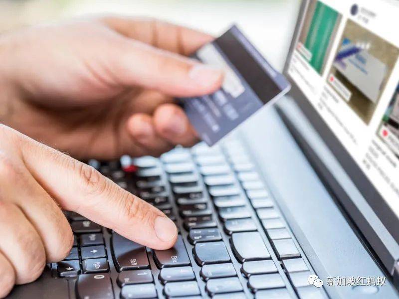 新加坡人的錢好騙? 今年首8個月有1萬零402起詐騙案,騙走1.57億新元