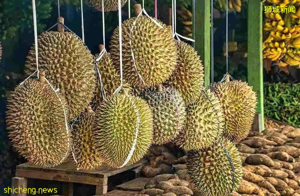 在新加坡花錢健身?不如賣榴梿鍛煉身體,這家店招募猛男