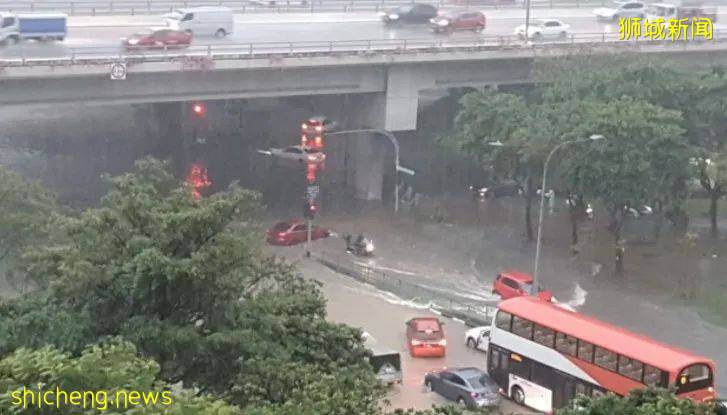 淡滨尼水患大调查,原来是承包商擅自更改排水渠导致