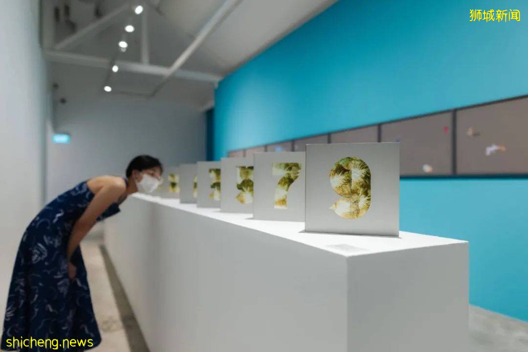 新加坡九月看展指南!周末假期好去处