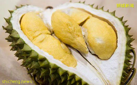 新加坡这个公园内20棵榴梿树大丰收!一群人等著捡,最高罚5万