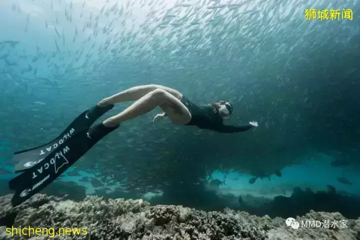 年末休假不想出国,超好玩水上运动大盘点