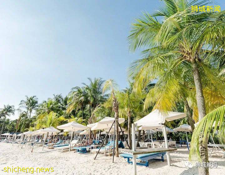 我們爲什麽愛新加坡？這56個理由夠不夠