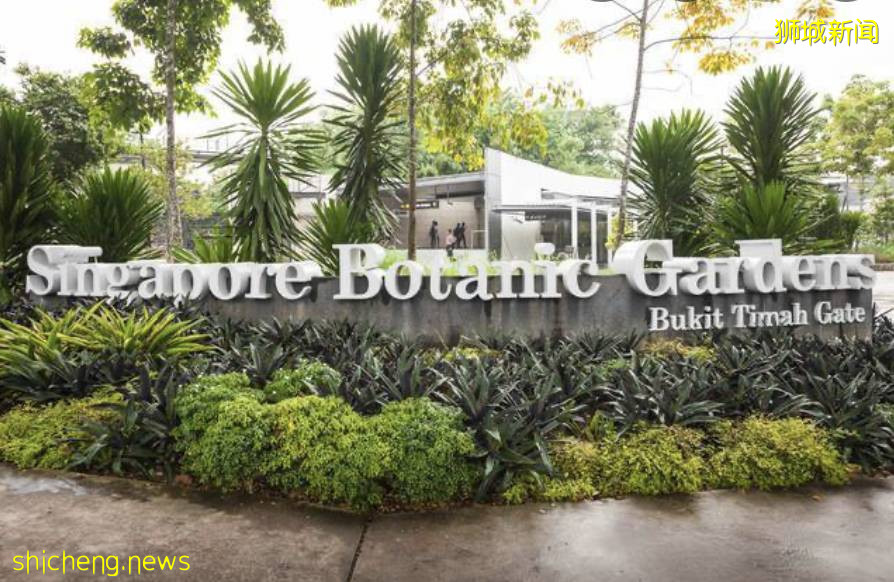 新加坡旅行：来新加坡不可错过的小众景点推荐