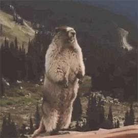 新加坡首任總統化身“財神爺”用于購買祭品？這膽也太肥了吧