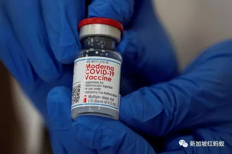 新加坡衛生部長：與未知新敵人奧密克戎博弈，像在下一盤蛇梯棋