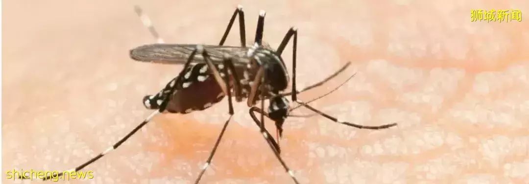 新加坡医院纷纷进入“备战状态”！中国也发布疫情指南