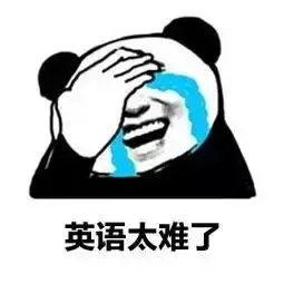 無雅思要求？！新加坡公立大學中文授課本科研究生專業來啦