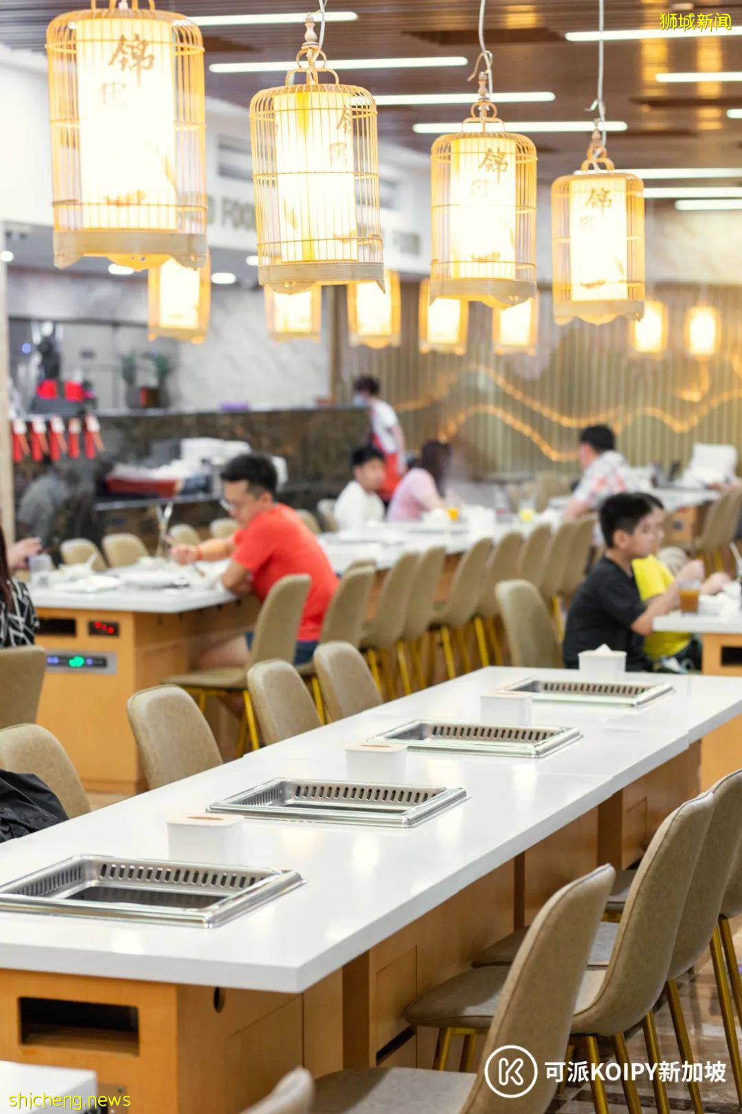 维也纳自助餐新开分店,锦鲤自助火锅火爆上线