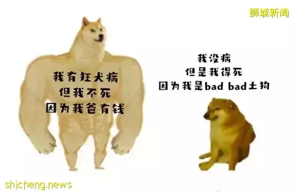 新加坡爲什麽沒有狂犬病?連本地人都不知道的一段黑曆史