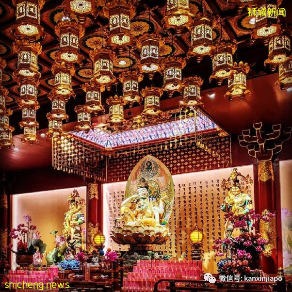 教你如何10元玩转新加坡