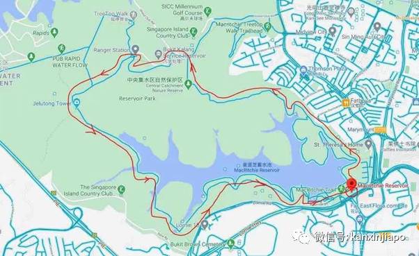 網友親測!新加坡十條經典徒步線路大推薦