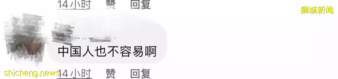 来新加坡一年半,发现妻子有了二胎!他在机场跪地磕头痛哭