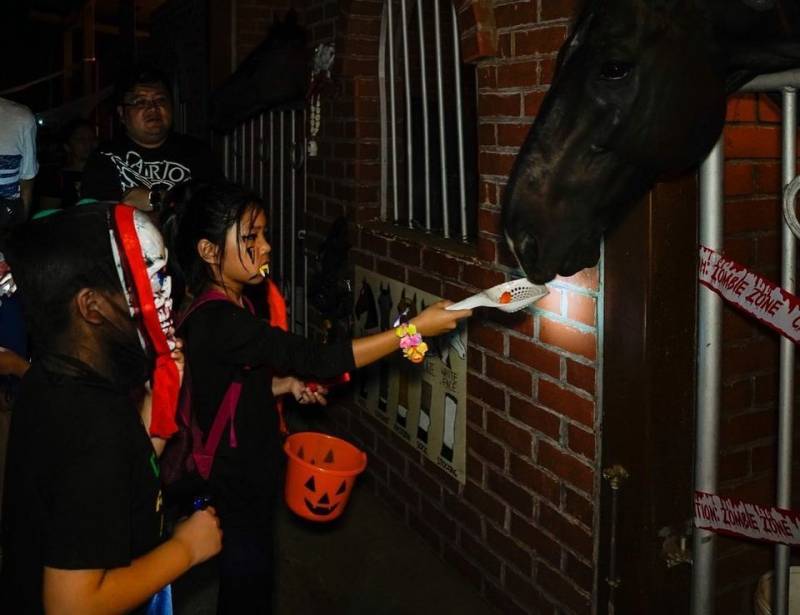 周末去哪兒玩之萬聖節特輯：新加坡萬聖節“鬼混”好去處