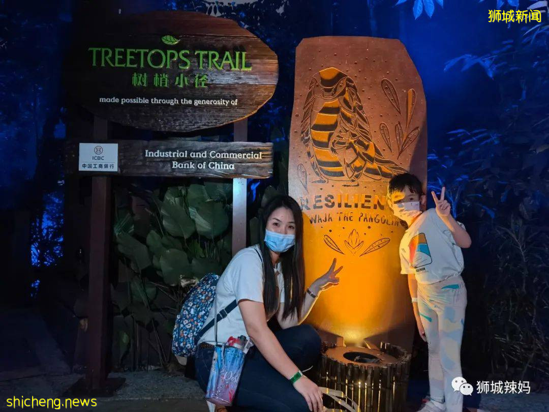 低至S$8！就3天！新加坡動物園“幻光雨林之夜”強勢回歸，亞洲第一夜遊體驗