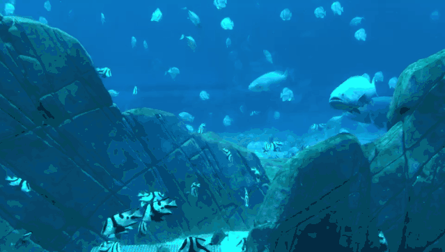 宽松适宜的新加坡亲子游：教育，科技，乐园等均不错过的游玩攻略