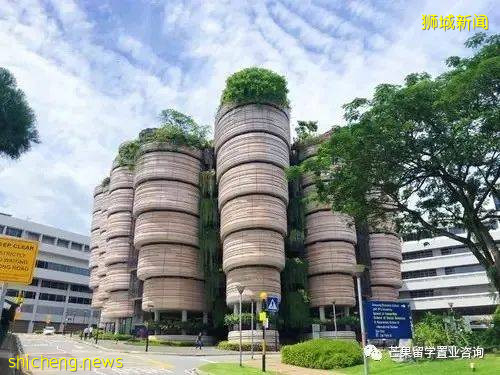 如何用高考成績申請新加坡的南洋理工大學