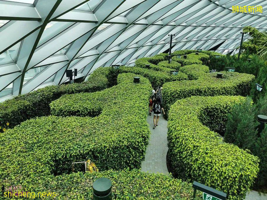 新加坡，星耀樟宜 (Jewel Changi Singapore)