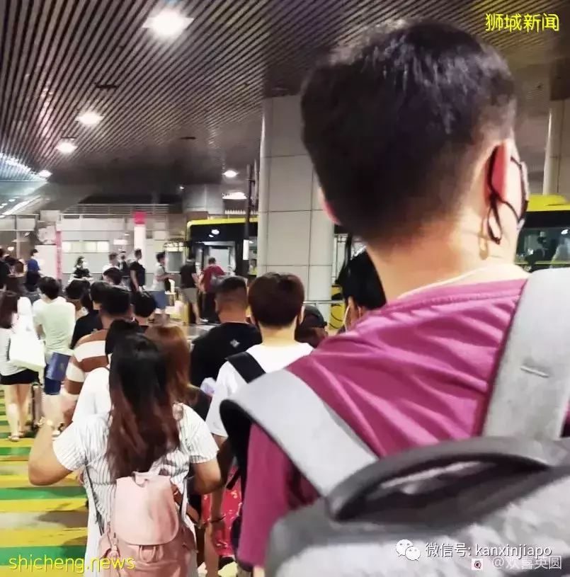 “我是这样从新加坡走到马来西亚的”,出入境最新攻略