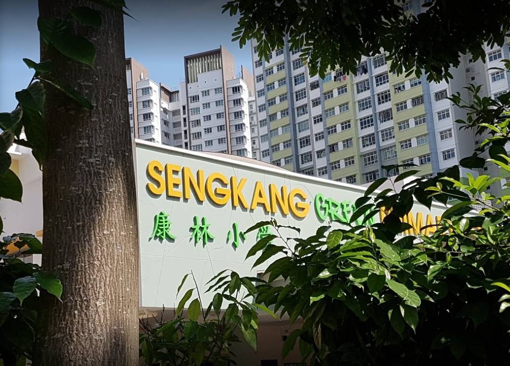 突發！淩晨4點，新加坡一名小六女生被發現死于組屋樓下