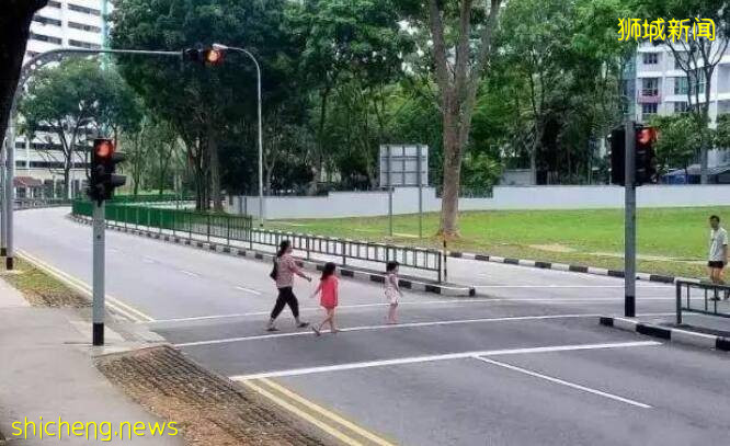 鬼畜!新加坡罚款“惊”的鸡过马路都得看绿灯