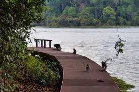 知道新加坡这10条美爆了的户外跑步路线后,跑步真的成为了一种享受