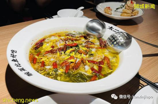 等了6年，風靡中國的網紅酸菜魚終于來新加坡了