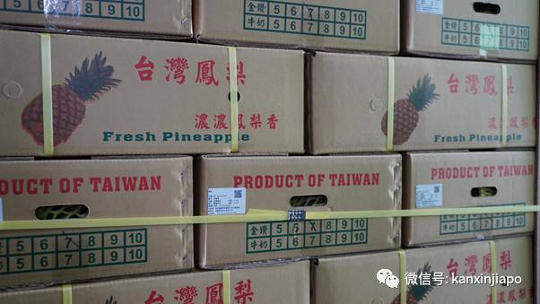 46000吨台湾凤梨被中国大陆拒之门外！其中25吨下周运抵新加坡
