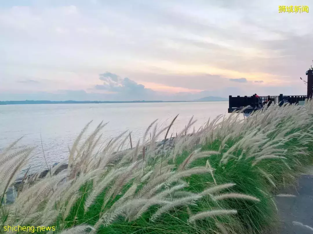 新加坡好玩的地方不少,有沒有很心動