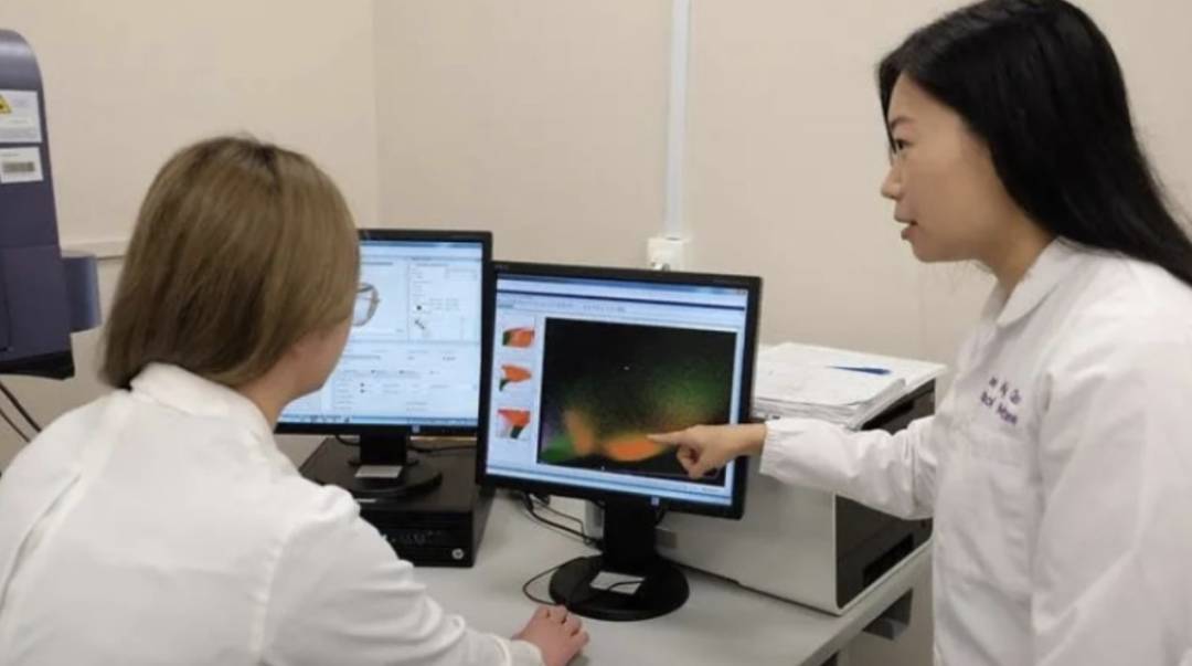 新加坡39人患新冠后遗症!其中5人丧命!都出现了这些症状