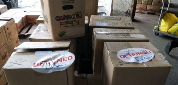 从大马非法进口150公斤蔬菜 狮成进口商罚1万8000