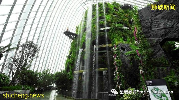 新加坡10件鮮爲人知的“十 件 套”!