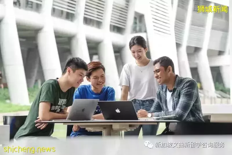 干货收藏篇 各年龄段学生留学新加坡的规划全解