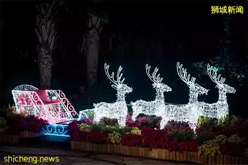 新加坡聖誕好去處,這份節日攻略請查收